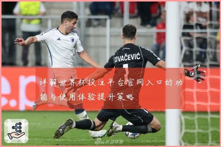 详解世界杯投注平台官网入口的功能与使用体验提升策略