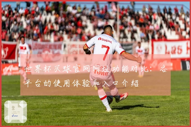世界杯买球官网网址功能对比：各平台的使用体验和入口介绍