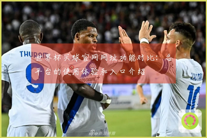 世界杯买球官网网址功能对比：各平台的使用体验和入口介绍