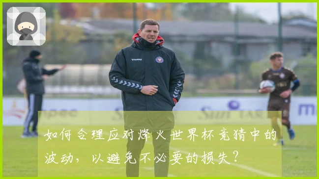 如何合理应对烽火世界杯竞猜中的波动，以避免不必要的损失？