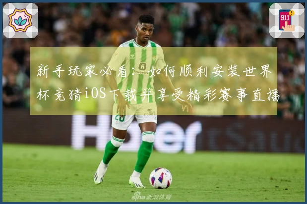 新手玩家必看：如何顺利安装世界杯竞猜iOS下载并享受精彩赛事直播