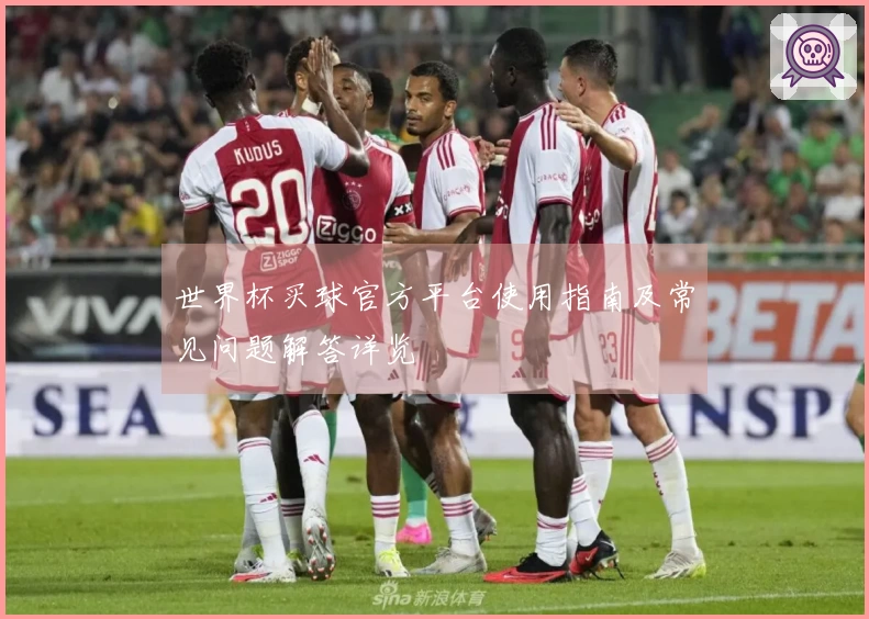 世界杯买球官方平台使用指南及常见问题解答详览