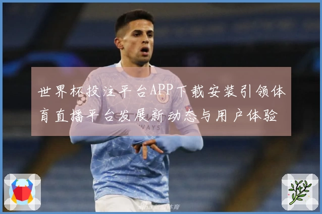 世界杯投注平台APP下载安装引领体育直播平台发展新动态与用户体验提升