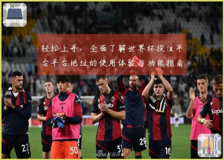 轻松上手，全面了解世界杯投注平台平台地址的使用体验与功能指南