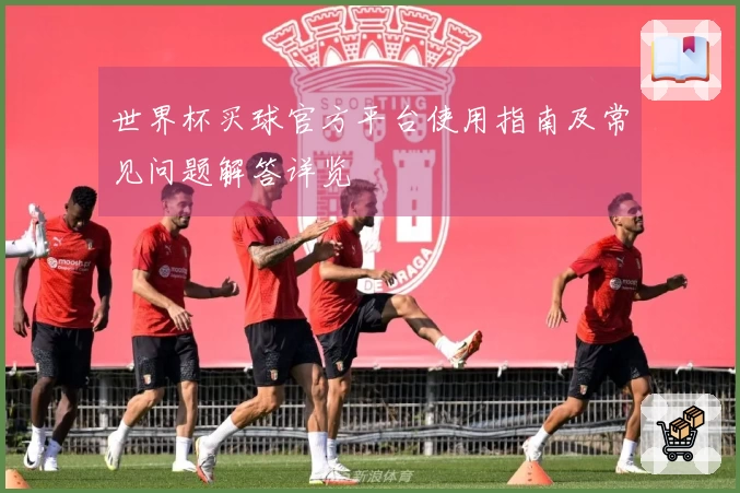 世界杯买球官方平台使用指南及常见问题解答详览