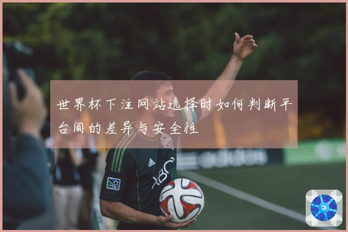 世界杯下注网站选择时如何判断平台间的差异与安全性