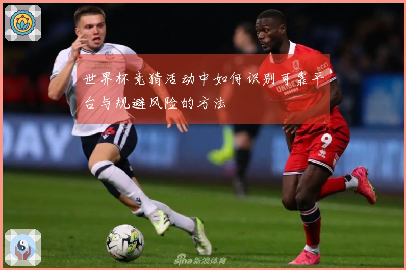 世界杯竞猜活动中如何识别可靠平台与规避风险的方法