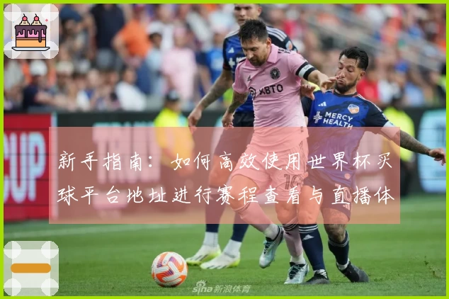 新手指南：如何高效使用世界杯买球平台地址进行赛程查看与直播体验