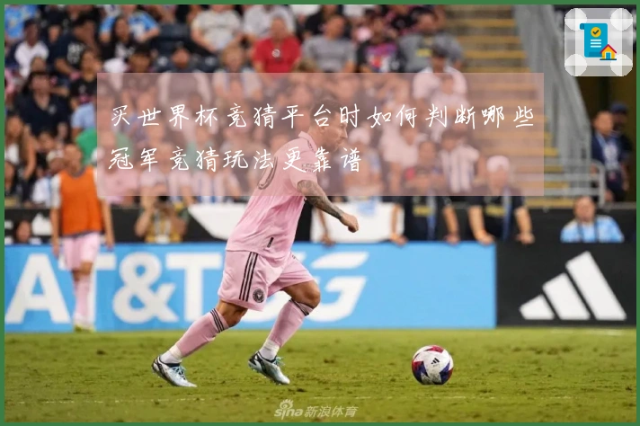 买世界杯竞猜平台时如何判断哪些冠军竞猜玩法更靠谱