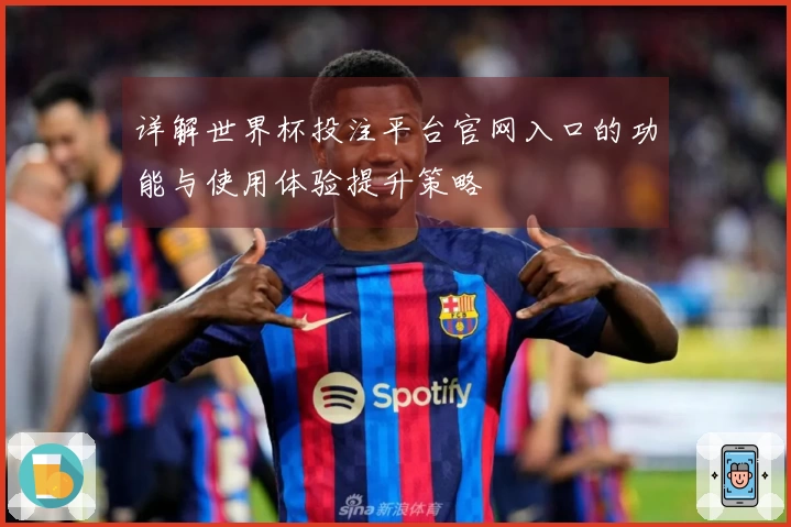 详解世界杯投注平台官网入口的功能与使用体验提升策略