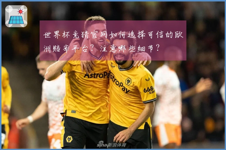 世界杯竞猜官网如何选择可信的欧洲赔率平台？注意哪些细节？