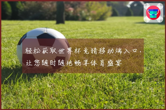 轻松获取世界杯竞猜移动端入口，让您随时随地畅享体育盛宴