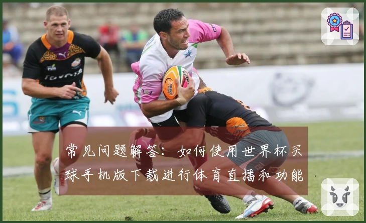 常见问题解答：如何使用世界杯买球手机版下载进行体育直播和功能体验分享