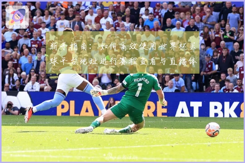 新手指南：如何高效使用世界杯买球平台地址进行赛程查看与直播体验
