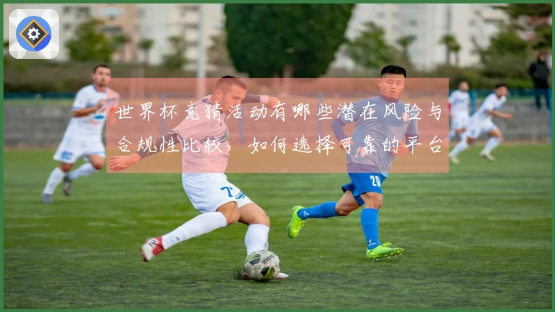 世界杯竞猜活动有哪些潜在风险与合规性比较，如何选择可靠的平台？