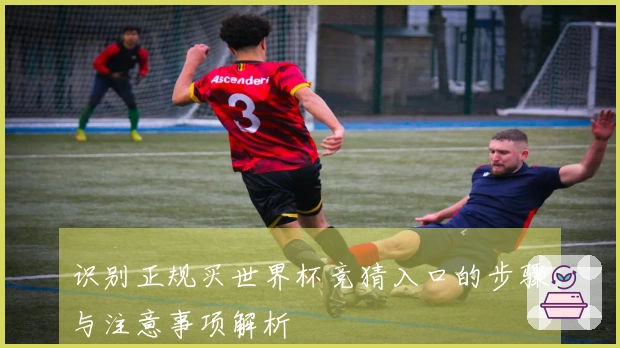 识别正规买世界杯竞猜入口的步骤与注意事项解析
