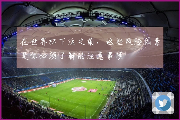 在世界杯下注之前，这些风险因素是你必须了解的注意事项
