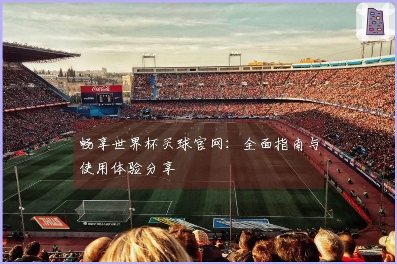 畅享世界杯买球官网：全面指南与使用体验分享