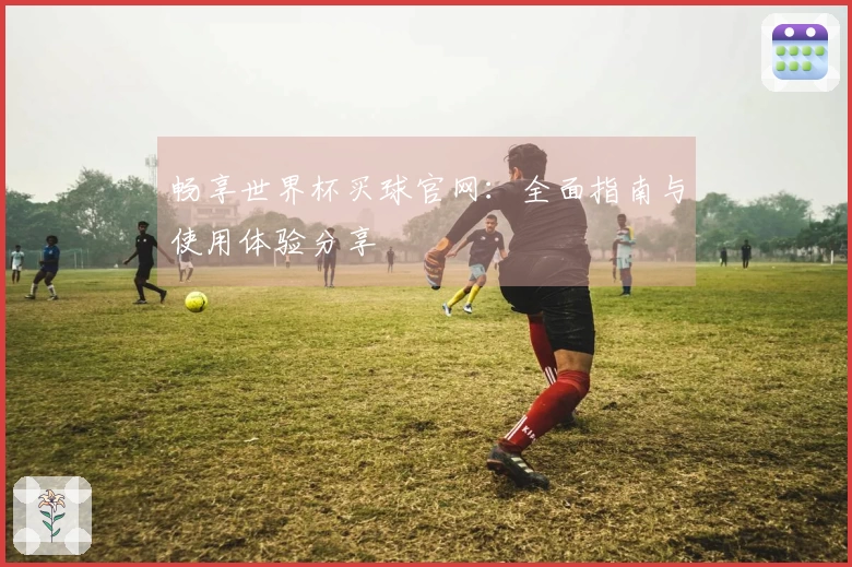 畅享世界杯买球官网：全面指南与使用体验分享