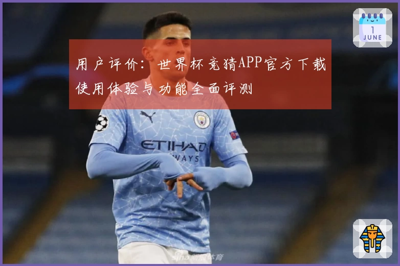 用户评价：世界杯竞猜APP官方下载使用体验与功能全面评测