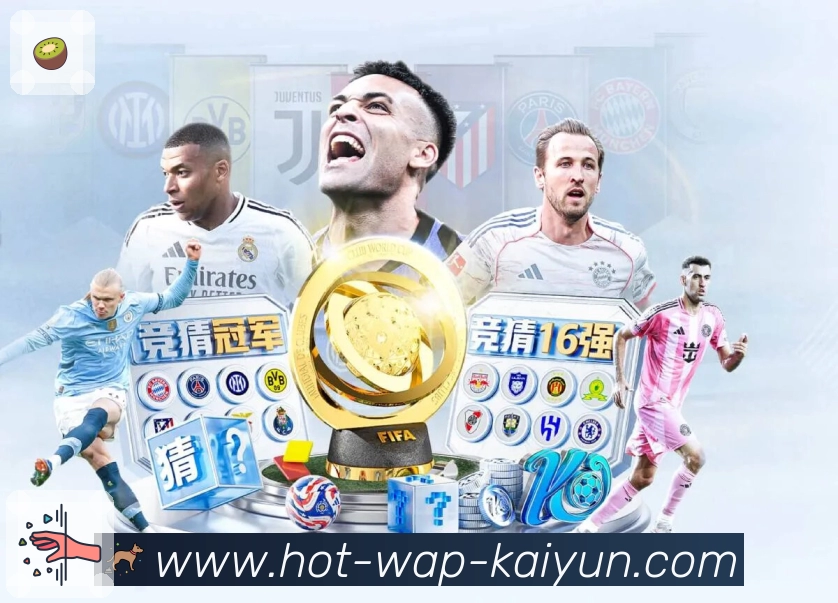 开云APP 高清赛事图